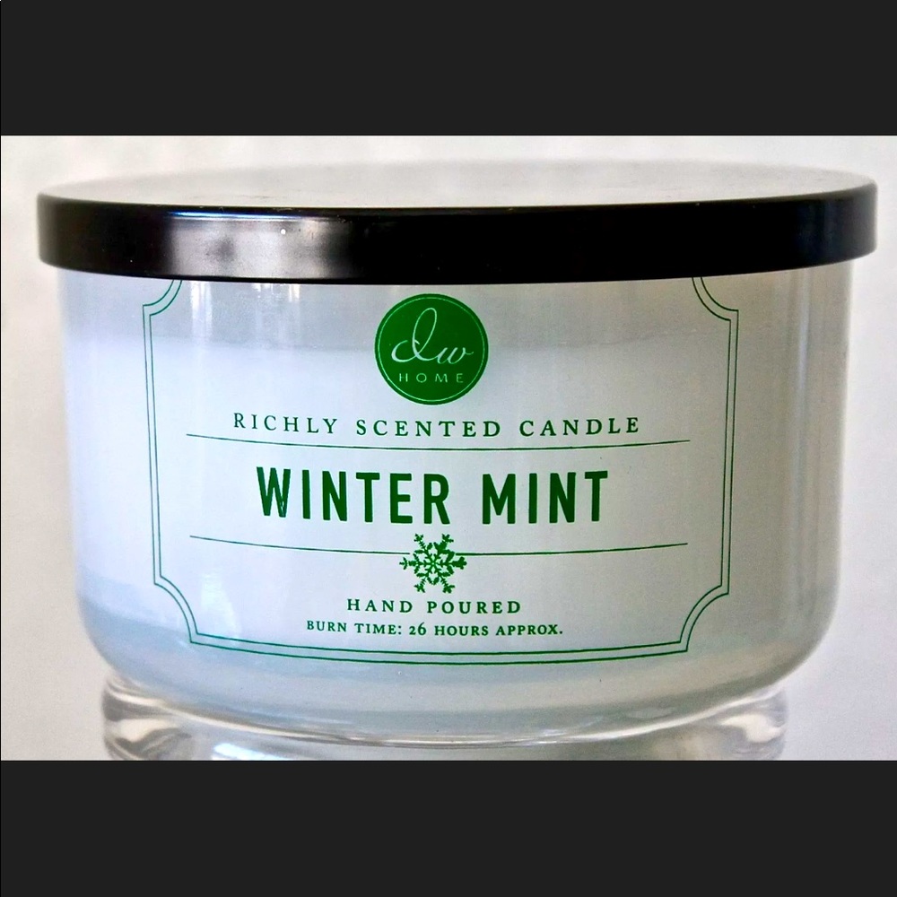 DW HOME CANDLE WINTER MINT 3 WICK 12.82oz RICHLY SCENTED NEW